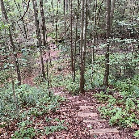 Good Life Cabin 2 Bryson City Bagian luar foto