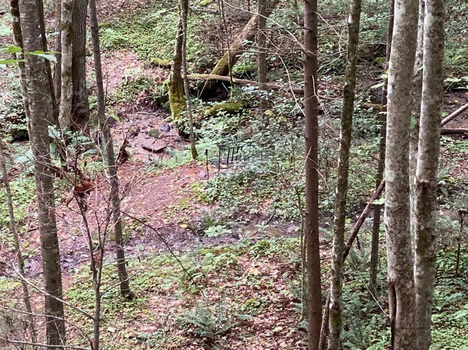 Good Life Cabin 2 Bryson City Bagian luar foto